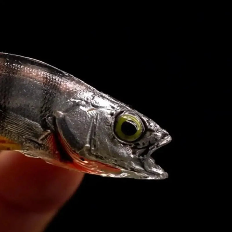 Isca Articulada Atrativa Febre nos Estados Unidos | 4 unidades | Pescando Online
