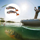 Isca Articulada Atrativa Febre nos Estados Unidos | 4 unidades | Pescando Online